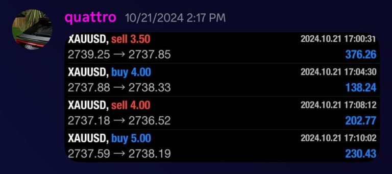 WhatsApp Image 2024-11-28 at 7.24.33 PM (1)